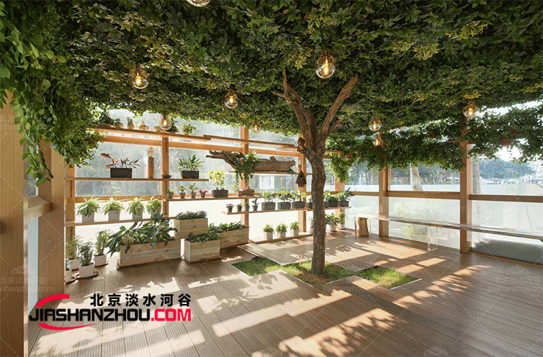 仿真樹洋白蠟樹英文名為Green Ash的原生樹種基本情況
