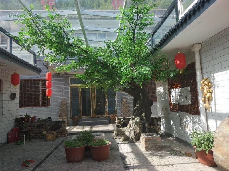 仿真假樹(shù)